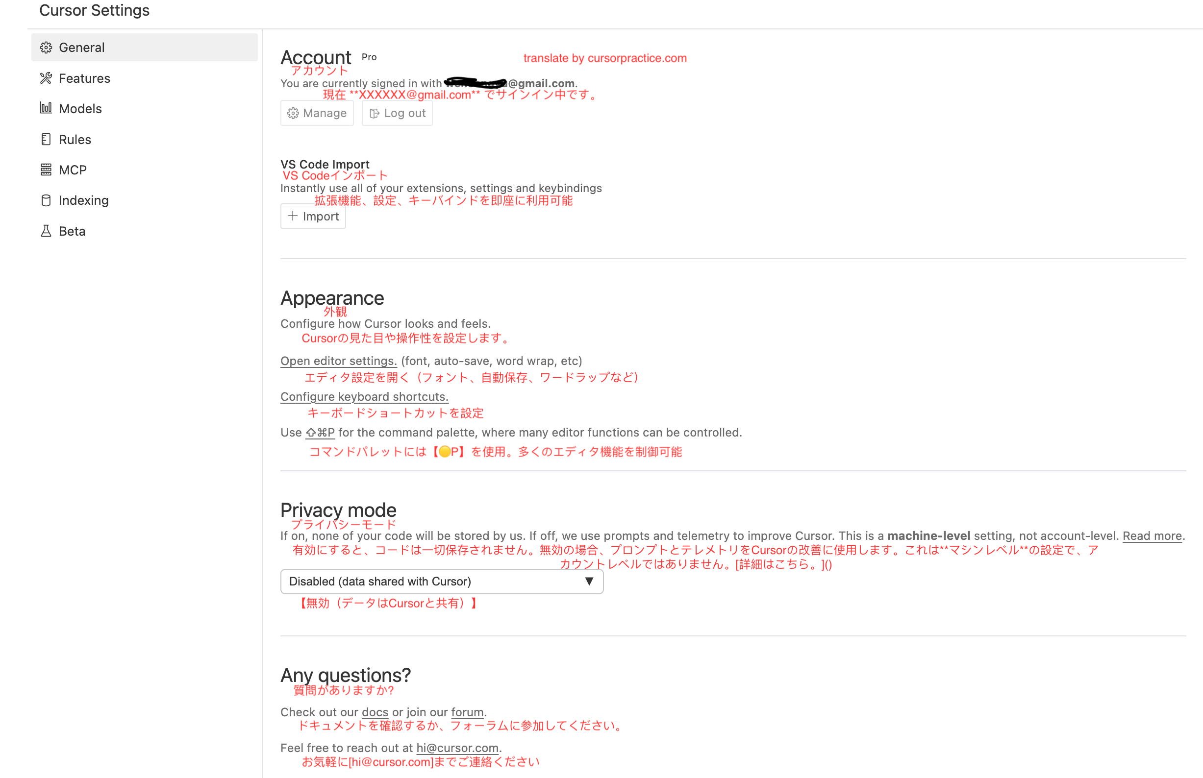cursor-setting-translate-ja
